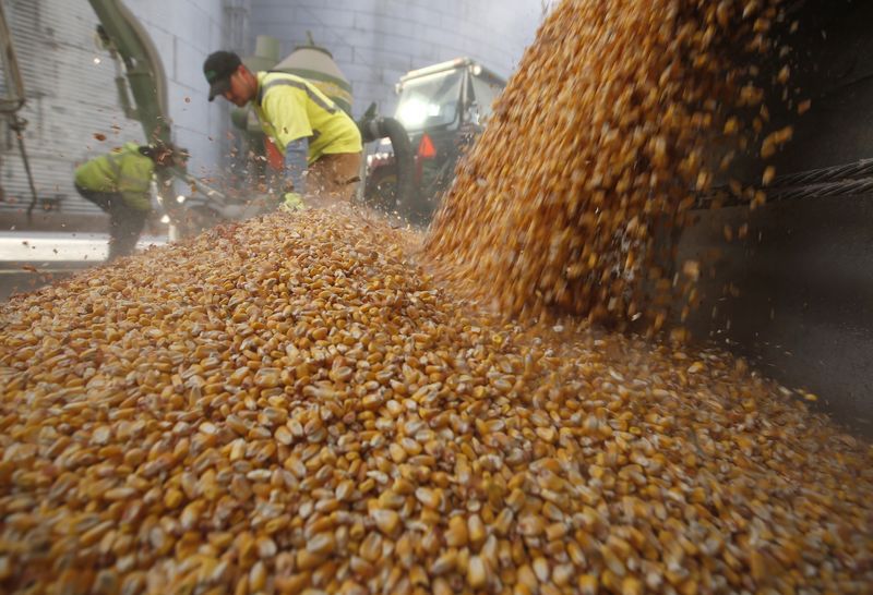 La incorporación del maíz al esquema de "dólar agro" catapultó las liquidaciones.
