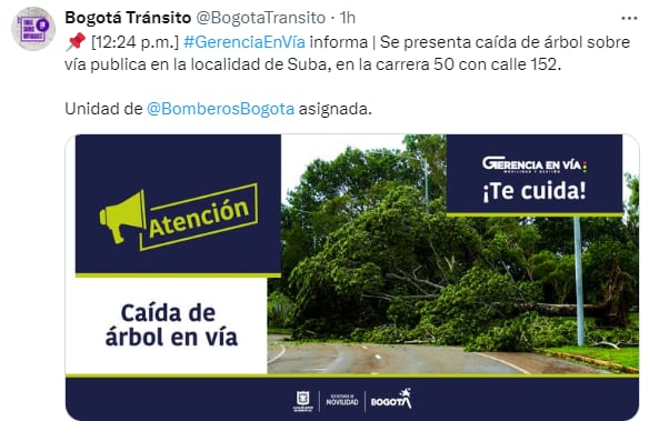 Árbol, se cayó en el norte de Bogotá - crédito @BogotaTransito/X