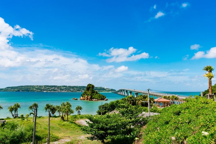 Un residente de la isla japonesa tiene un tercio más de posibilidades de alcanzar los cien años que uno norteamericano (Shutterstock)