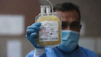 La inmunoterapia pasiva con plasma convaleciente es otra estrategia que se puede utilizar para tratar pacientes críticos con infección por COVID-19 (Reuters/Essam Al-Sudani)