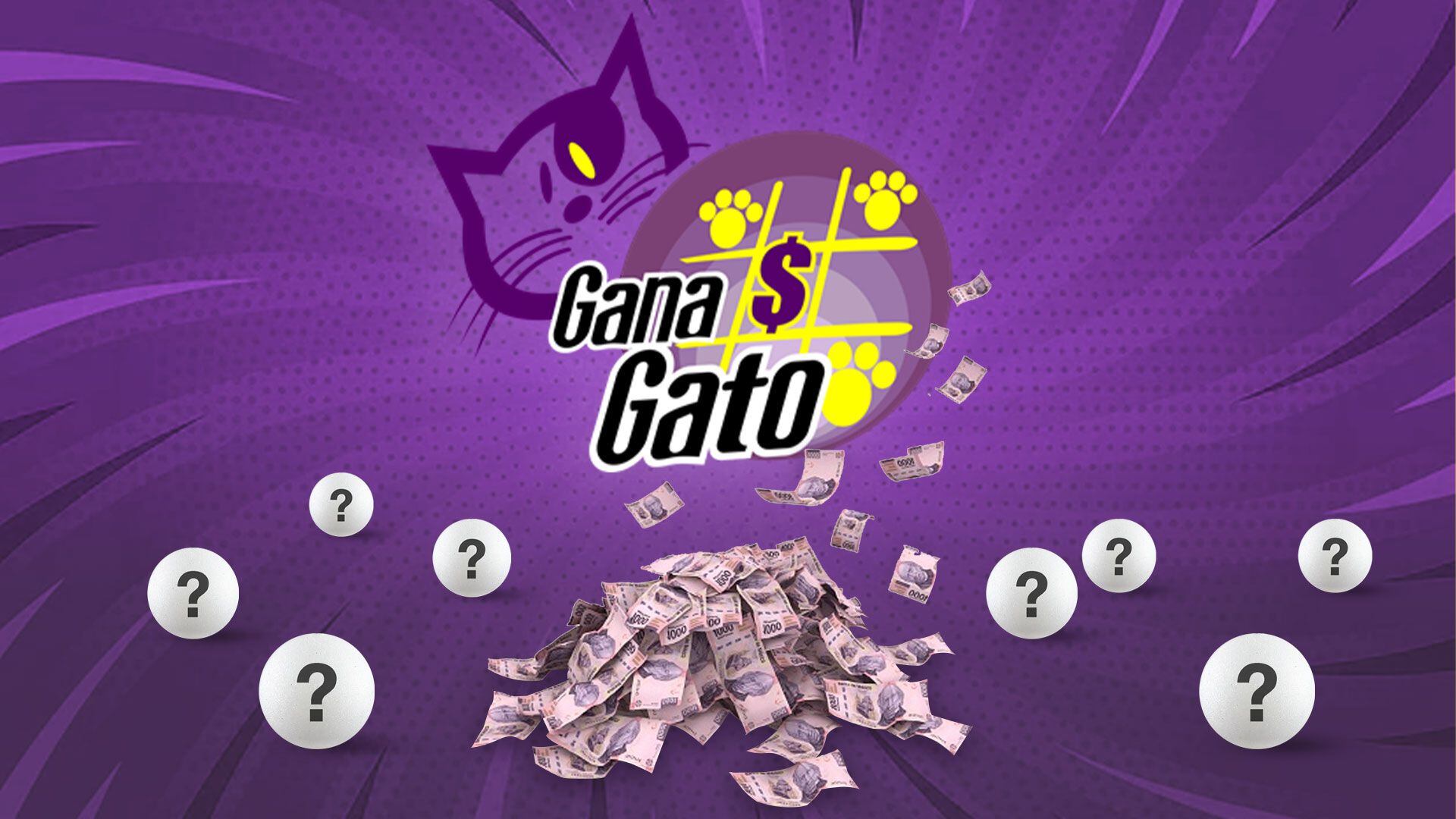 Consulta aquí los ganadores de Gana Gato (Foto: Jovani Pérez/Infobae)