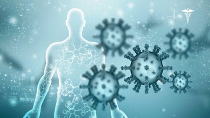 Cada organismo es un laboratorio natural donde un virus puede mutar varias veces (Shutterstock.com) 