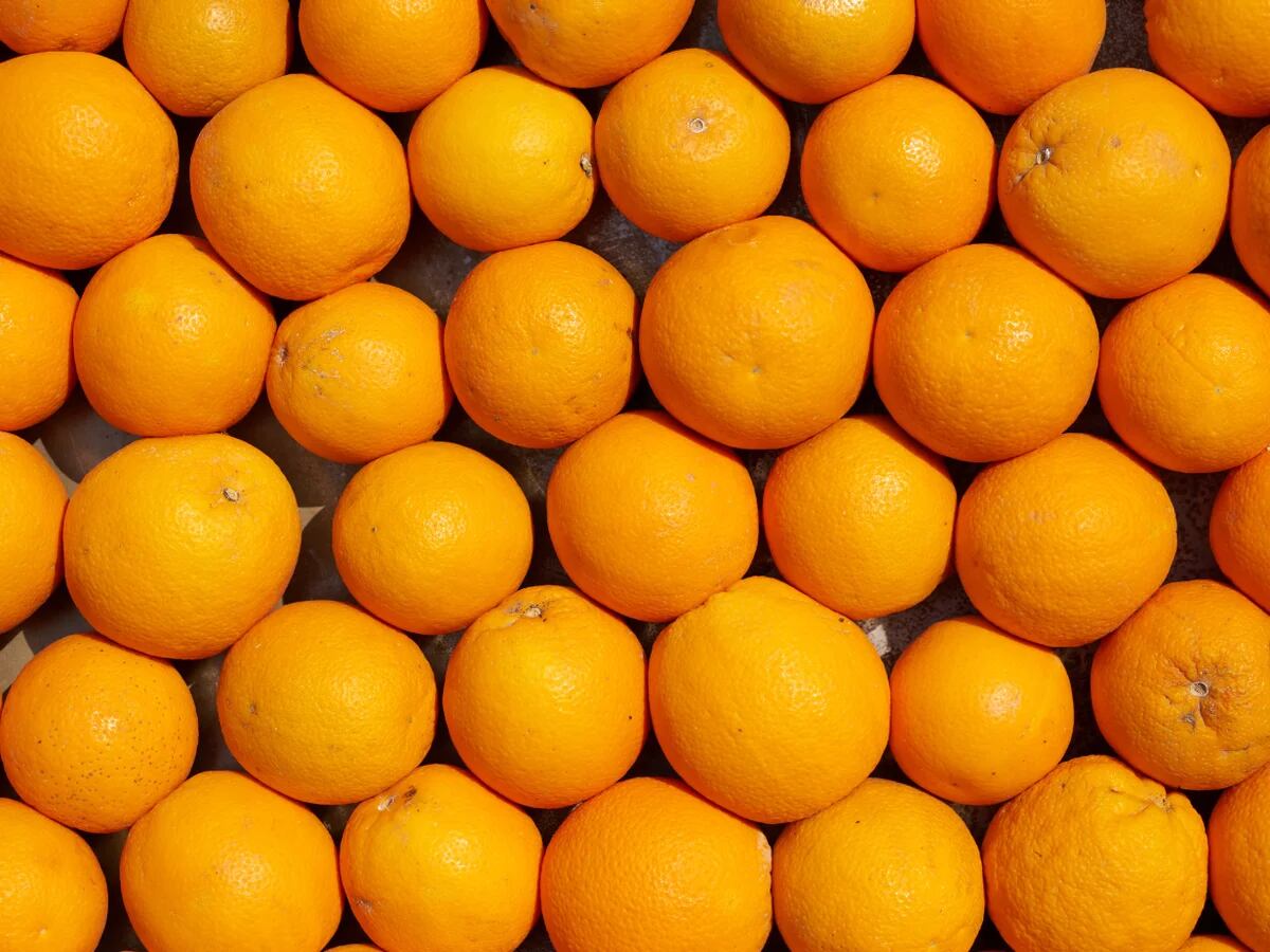 hermosa gritar Propuesta Cuáles son los beneficios del té de cáscara de naranja, según estudios -  Infobae