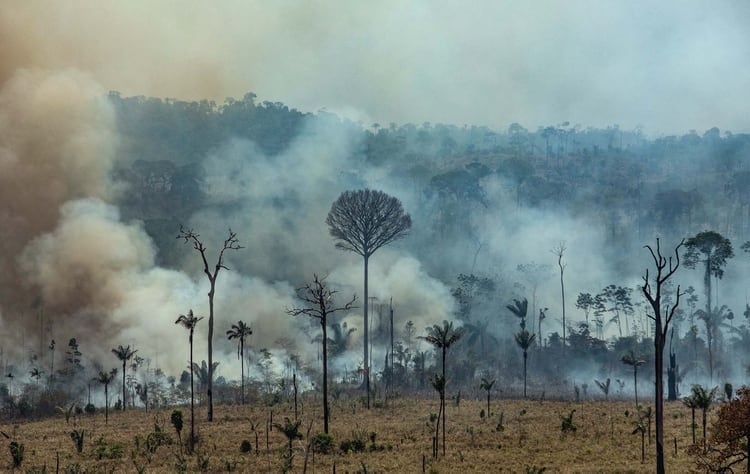 Desde que Bolsonaro asumió el cargo en enero los árboles del Amazonas han estado desapareciendo al ritmo de tres canchas de fútbol por minuto (AFP)