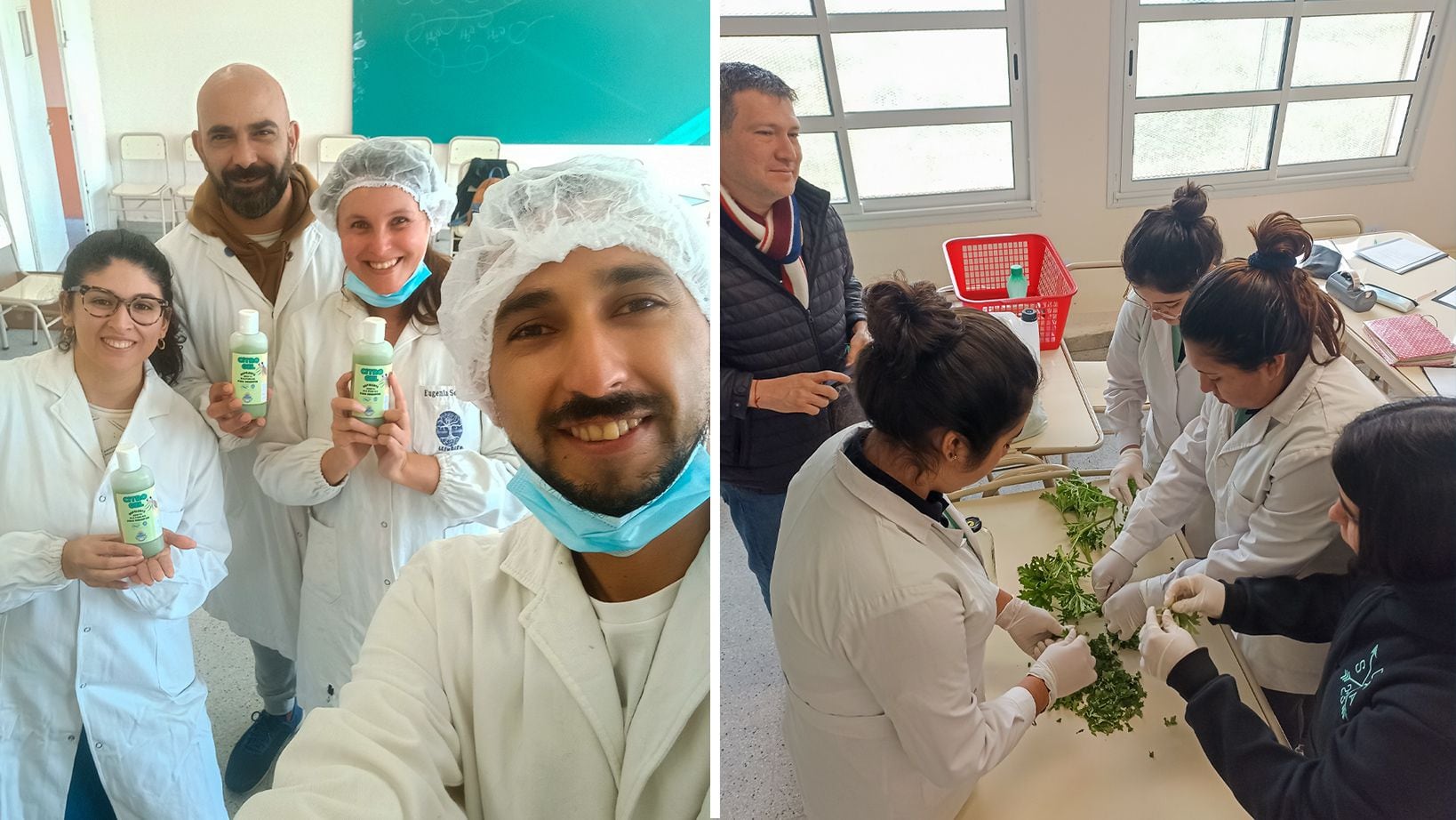 un proyecto piloto que tiene como objetivo el desarrollo de un gel repelente natural y biodegradable, un equipo científico del CONICET NOA Sur en el Instituto de Biotecnología Farmacéutica y Alimentaria (INBIOFAL) -de doble depenencia entre el CONICET y la Universidad Nacional de Tucumán- se unió a estudiantes y docentes de la Escuela Secundaria de Amberes, en Tucumán, para abordar una problemática sanitaria acuciante: el dengue, enfermedad viral transmitida por el mosquito Aedes aegypti.