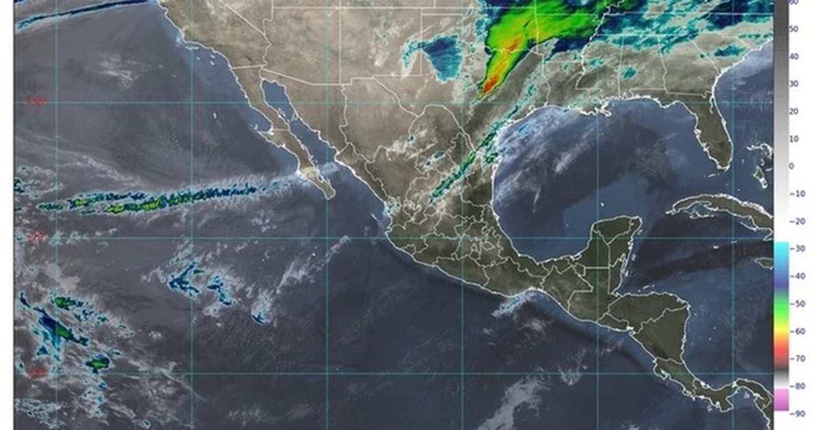 Due to the entry of cold front number 37, Veracruz has declared a gray alert