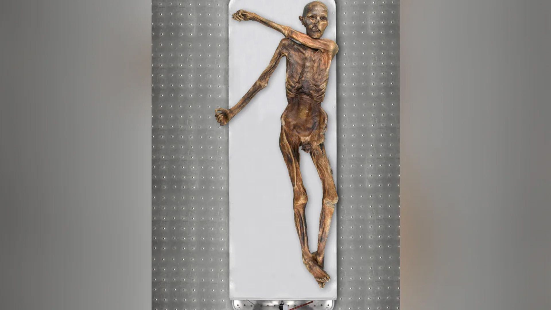 El cuerpo momificado de Ötzi es uno de los hallazgos arqueológicos más estudiados del mundo
