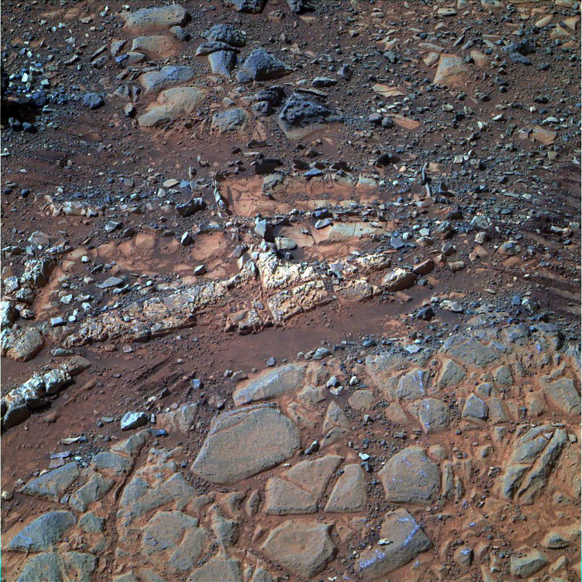 Un puñado de esferas que parecen arándanos sorprendió a los científicos en Marte, tras la foto tomada por Oppy (NASA/JPL) 