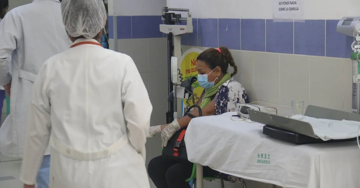 Dengue fever in Bolivia: hospitals in Santa Cruz are saturated by the number of cases