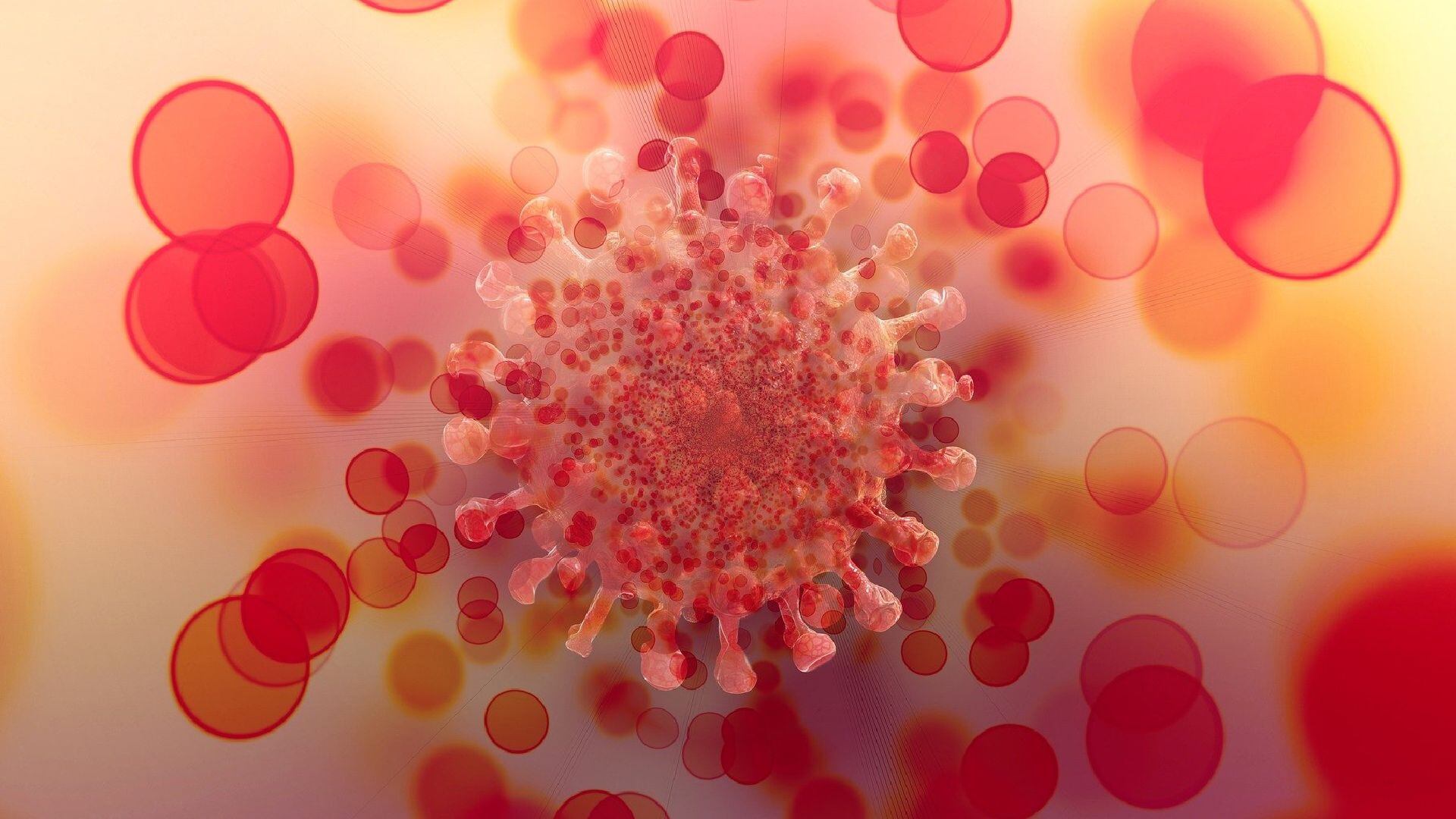 BioNTech y Pfizer dijeron la semana pasada que un ciclo de tres inyecciones de su vacuna COVID-19 pudo neutralizar la nueva variante de Ómicron (Foto: Pixabay)