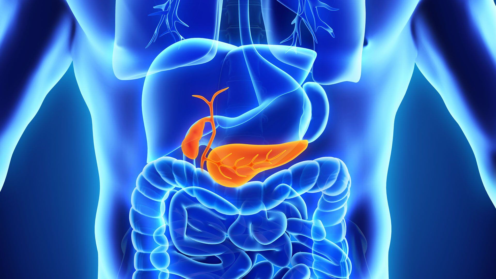 El cáncer de páncreas es más difícil y costoso de detectar. En muchos casos se diagnostica cuando ya se encuentra avanzado, pero mediante la IA se podría detectar de forma precoz /Archivo