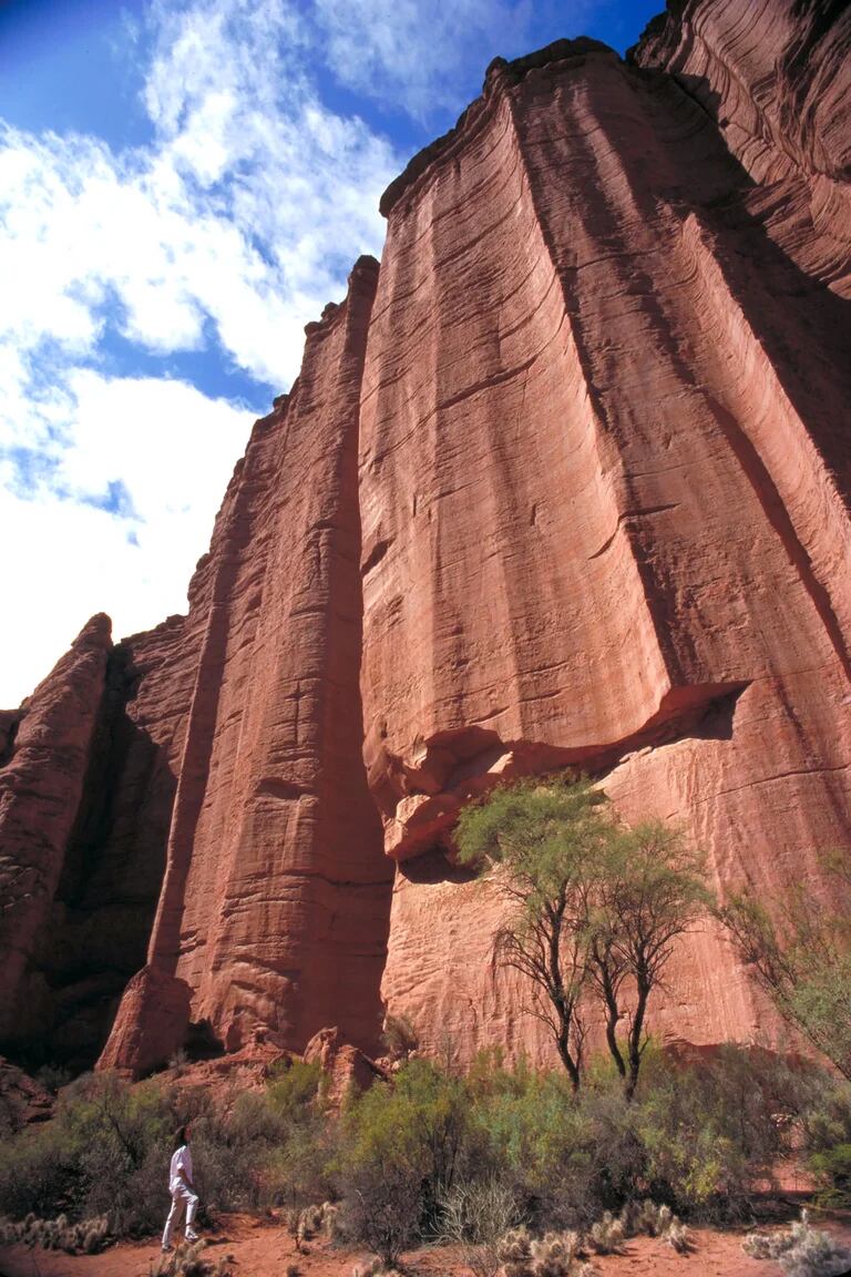 Vandalizó el Parque Nacional Talampaya, lo subió a Tik Tok y fue denunciado penalmente