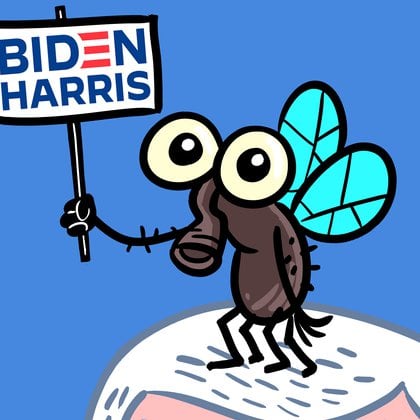 Meme de una mosca alusiva a la que se ubicó en la cabeza de Mike Pence, con un cartel de la campaña de la fórmula de Joe Biden 