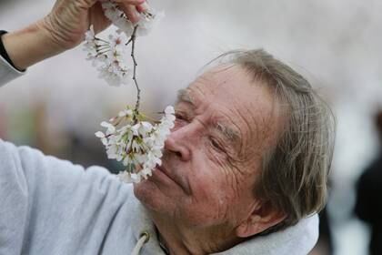 Los pacientes que informaron pérdida del olfato tenían 10 veces menos probabilidades de ser ingresados en el hospital por el nuevo coronavirus que aquellos sin pérdida del olfato