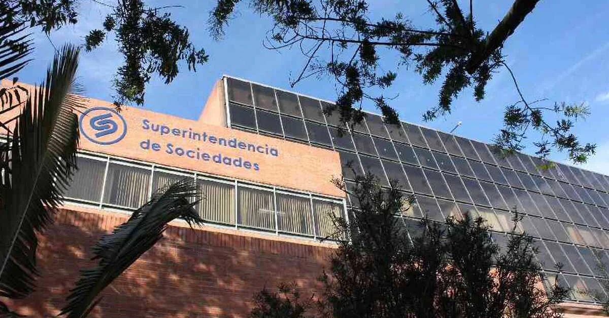 Supersociedades hat einer Fusion von Unternehmen zugestimmt, die zu Enel Colombia führen wird