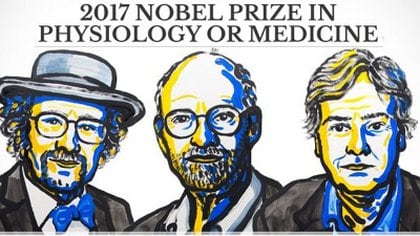 Premio Nobel de Medicina 2017 a los científicos estadounidenses Jeffrey C. Hall, Michael Rosbash y Michael W. Young