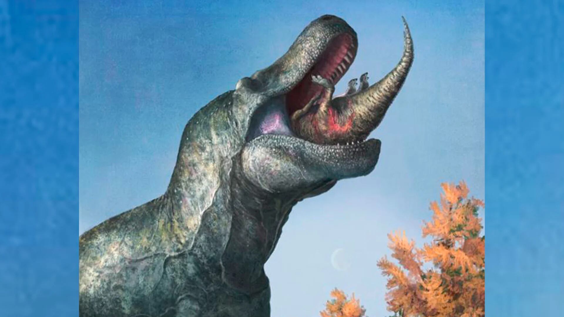 Perjudicial caja recluta El fin del mito de Jurassic Park: el tiranosaurio rex tenía labios de  lagarto que ocultaban sus dientes - Infobae