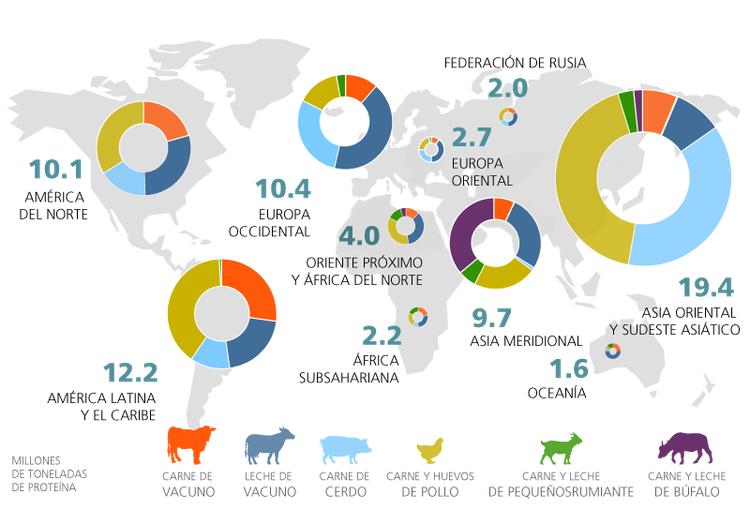 Producción ganadera mundial por región (leche y huevos expresados en proteínas) Fuente: FAO
