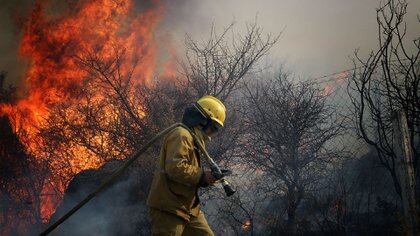 La intencionalidad de los incendios se combinó con la extensa sequía, por lo que los focos comenzaron en junio y aún no han sido extinguidos completamente.