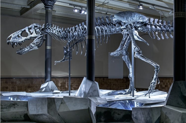 En Alemania se encuentra en exhibición “Tristan Otto” , el Tiranosaurio Rex más completo hasta ahora (Foto: Museo für Naturkunde)