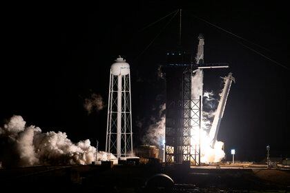 El cohete Falcon 9 de dos fases que llevó 60 satélites de la empresa en su punta (EFE/CJ Gunther/Archivo)
