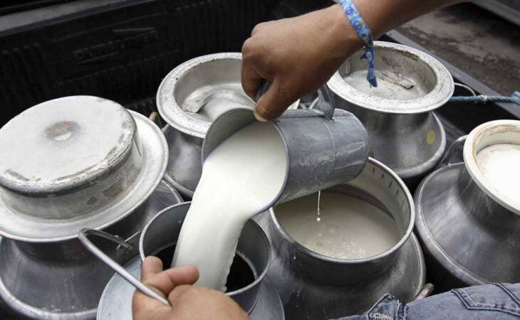 Imagen de referencia. Producción de leche en Colombia. Foto: Ministerio de Agricultura