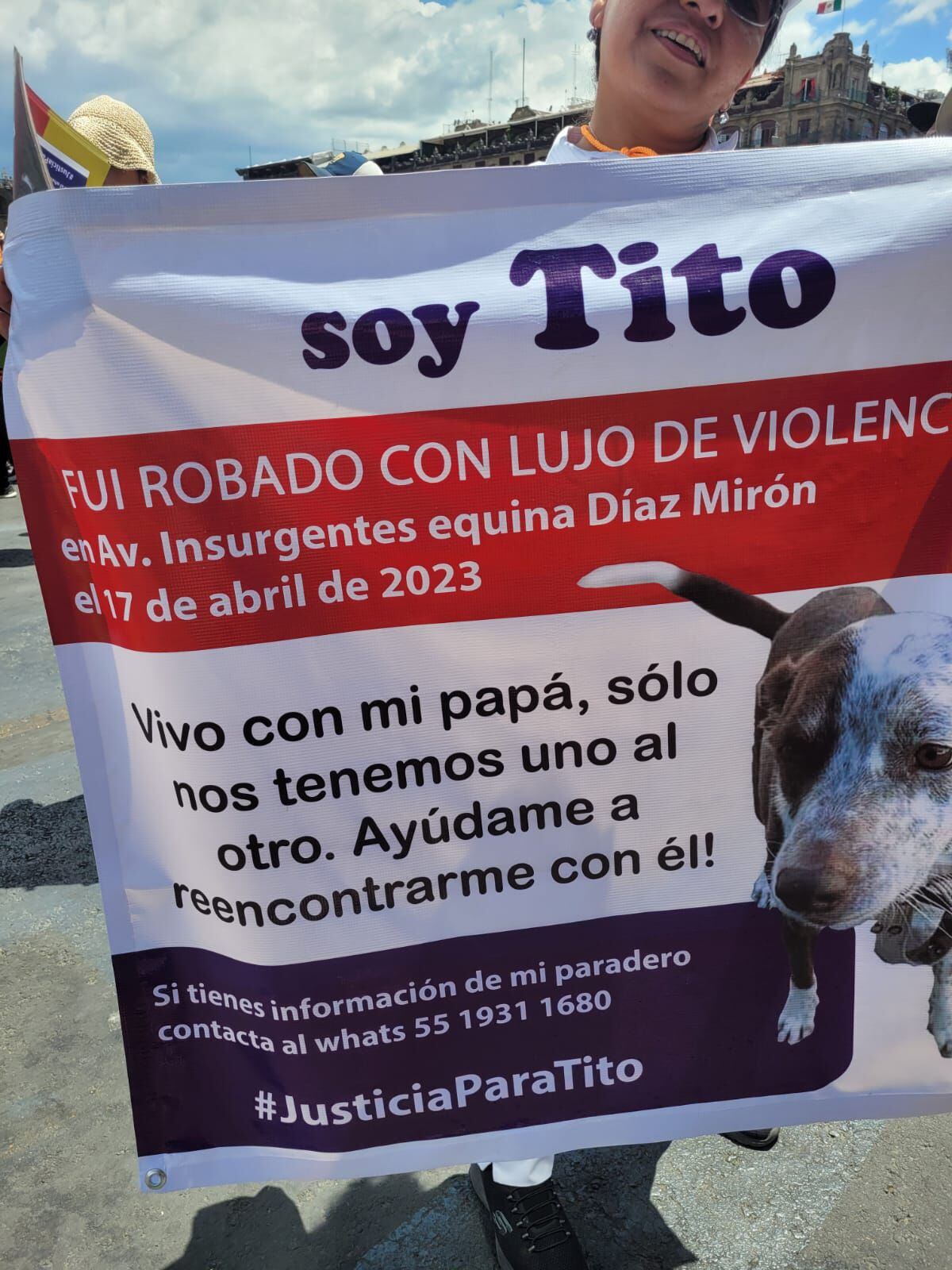 Regresen a Tito: el perro que fue separado de su dueño en las calles de Santa María la Ribera (Armando Montes)