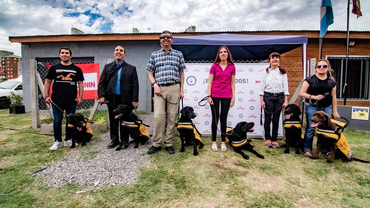 La Escuela de Perros Guías Argentinos (EPGA) entrena a canes lazarillos para que acompañen a personas que han perdido la visión, especialmente labradores y golden retrievers. Foto de la 6° entrega de perros lazarillo de EPGA que hizo en 2019