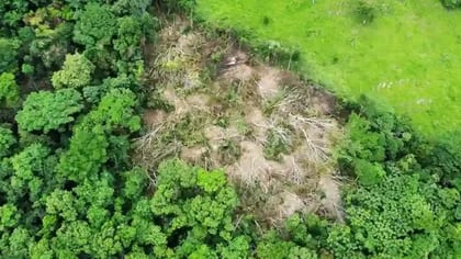Vista aérea del desbosque ocasionado por taladores ilegales. Foto: Jorge Walter Quevedo