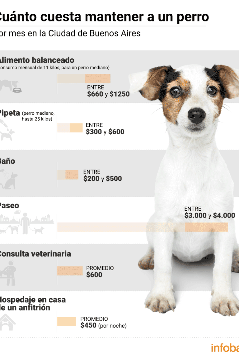 cuanto cuesta al año tener un perro