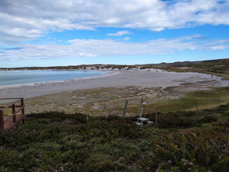 Hasta 1982, la playa de Gipsy Cove era la más popular de la Isla Soledad. Después de la guerra, quedó aislada al público, debido a la posible presencia de minas antipersonas debajo de la arena