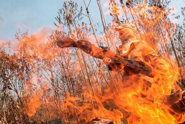 Los incendios en el Amazonas despertaron la alarma de todo el mundo