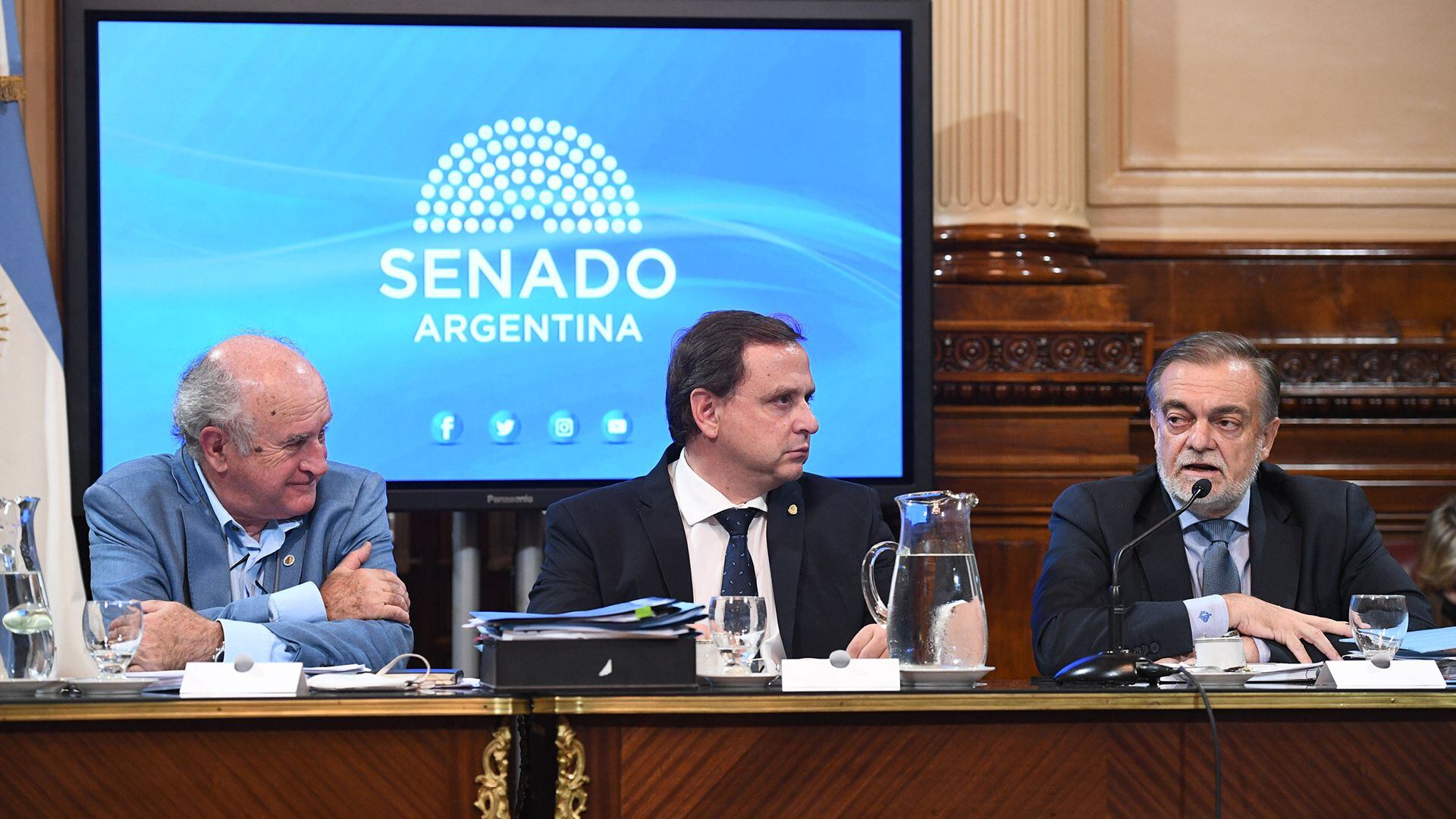 Plenary Meeting of the Committees on Constitutional Affairs and Justice and Criminal Matters