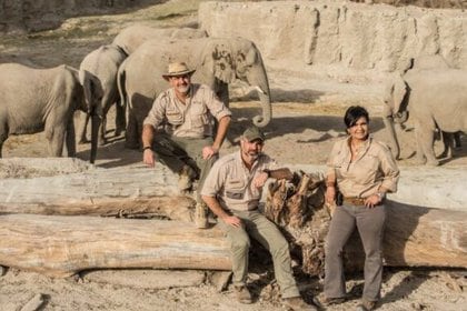 Amy Camacho transportó a nueve elefantes huérfanos desde Namibia (Foto: Instagram@amylcamacho)
