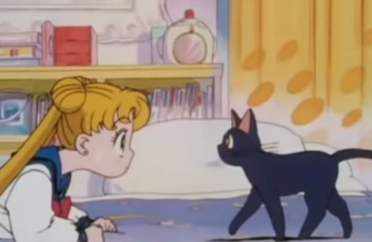 Garfias señaló que a pesar de que existieron otros programas con la misma temática, como Princesa Caballero (una chica que se viste de hombre), es la historia de Serena el primer shōnen con gran éxito, en el que una heroína salva al mundo con amor y justicia 