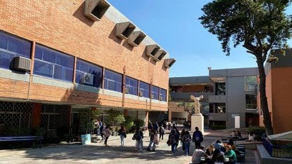 Son cuatro las facultades y FES, las que se suman al paro de labores (Foto: Instagram / @ fad.unam)