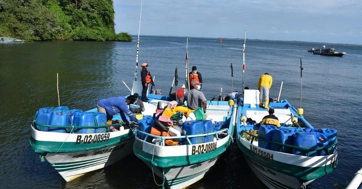 Per ‘cercare giustizia’ i pescatori di San Andrés si lanciano alla caccia dello squalo coinvolto nella morte di un cittadino italiano