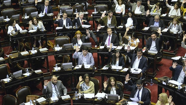 El oficialismo acompañó en tu totalidad el proyecto de ley (Gustavo Gavotti)