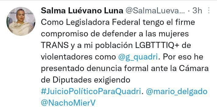 La diputa Salma Luévano anunció vía Twitter que ha tomado acciones legales contra Gabriel Quadri (Foto: Twitter/@SalmaLuevano)