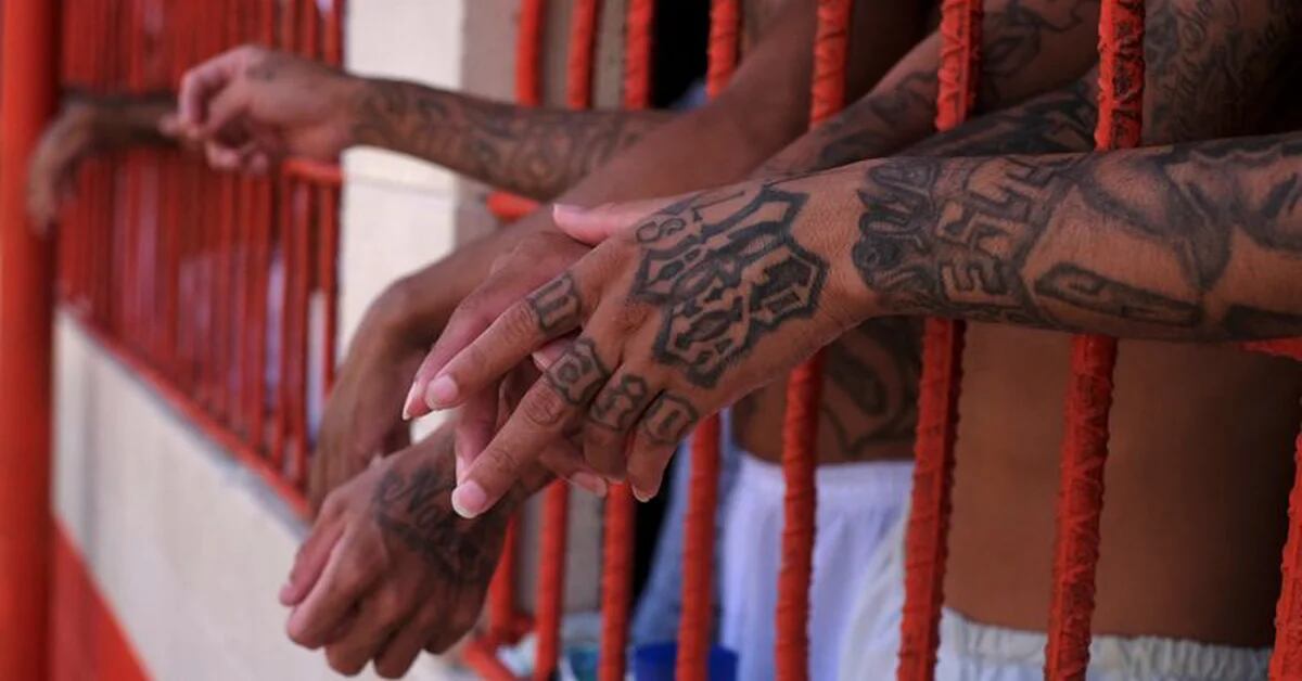 Komisi Hak Asasi Manusia Inter-Amerika telah meminta pemerintah Neb Bokil untuk memperbaiki kondisi penjara yang “menyedihkan” di El Salvador.