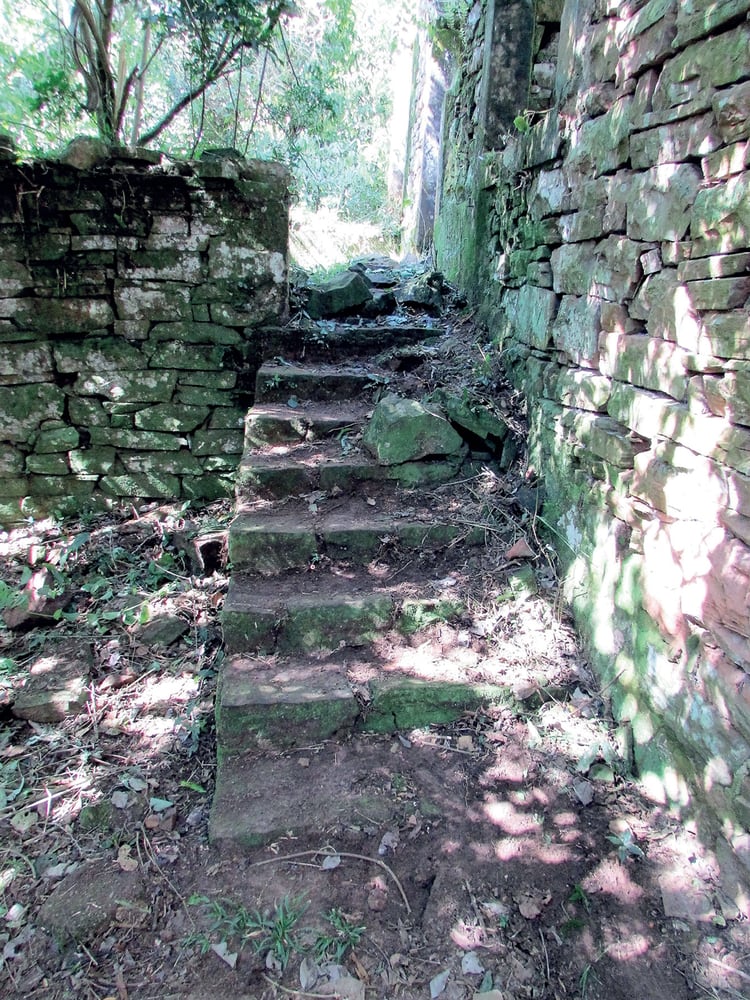 Una de las escaleras del bunker en la selva