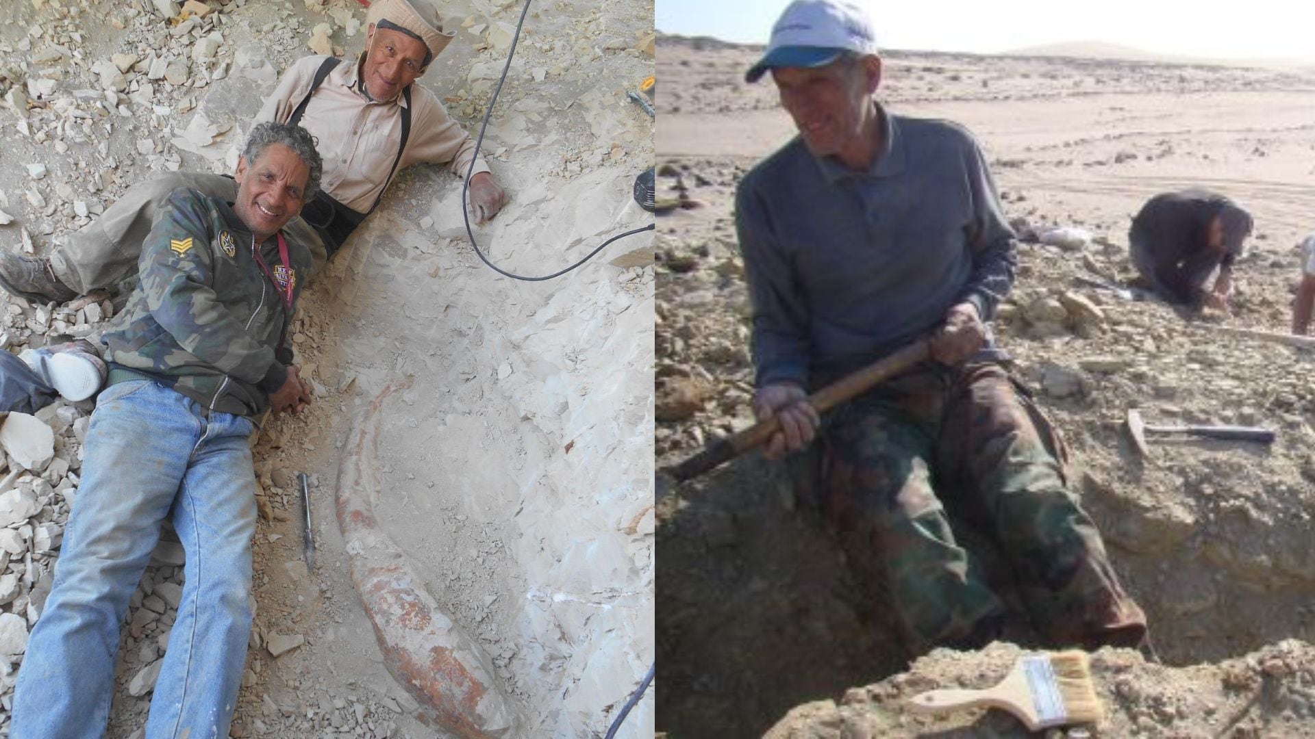 The images show renowned Peruvian paleontologist Mario Urpina in the middle of an excavation in the Ica Desert, where he discovers the world's largest animal fossil.  (Andean)
