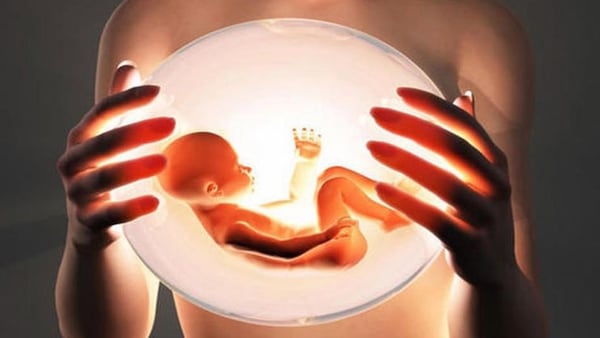 El desarrollo de un útero artificial puede prevenir la muerte de más de un millón de bebés prematuros cada año en el mundo