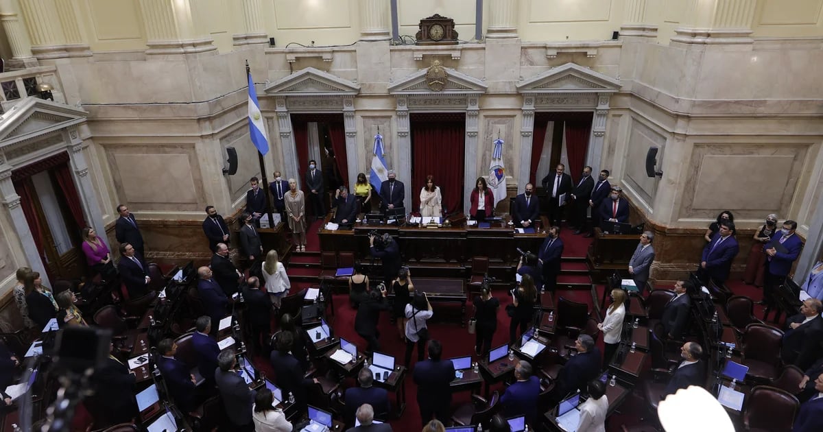 Aprobación del documento de Ana María Figueroa: cómo votó cada senador en una sesión que terminó en doble empate