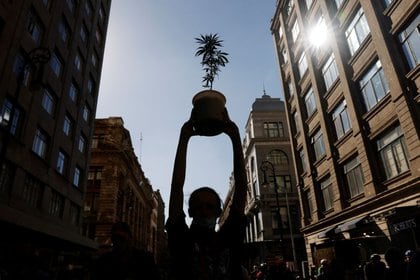 El dictamen deberá volver al Senado antes de concluir el proceso legislativo (Foto: Carlos Jasso/ Reuters)