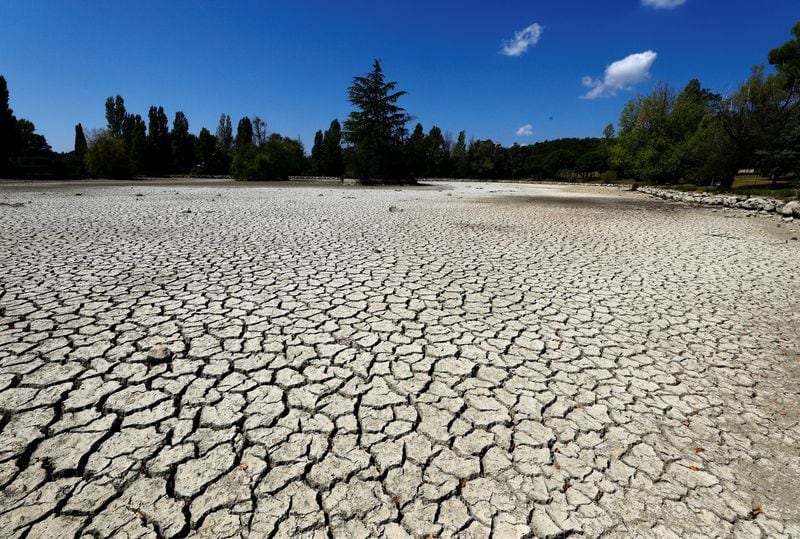 Tierra agrietada y seca en un estanque. Las sequías excepcionales ponen a los gobiernos en estado de alerta (Reuters)
REUTERS/Eric Gaillard