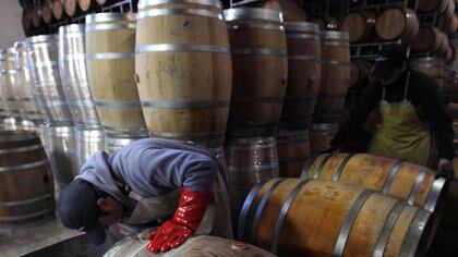 La elaboración de vinos fue considerada un rubro crítico, por lo que recibirán, si se inscriberon en el ATP, un aporte hasta 2 salarios mínimos por trabajador