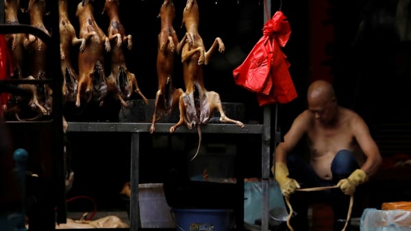 En el festival se consumen miles de perros durante 10 días (Reuters)