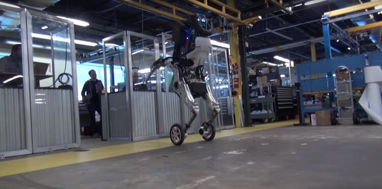El robot Handle de Boston Dynamics no sólo puede ayudar en las actividades de almacenamiento sino también muestra su agilidad saltando , subiendo escaleras y y haciendo múltiples actividades Foto: (Impresión de pantalla)