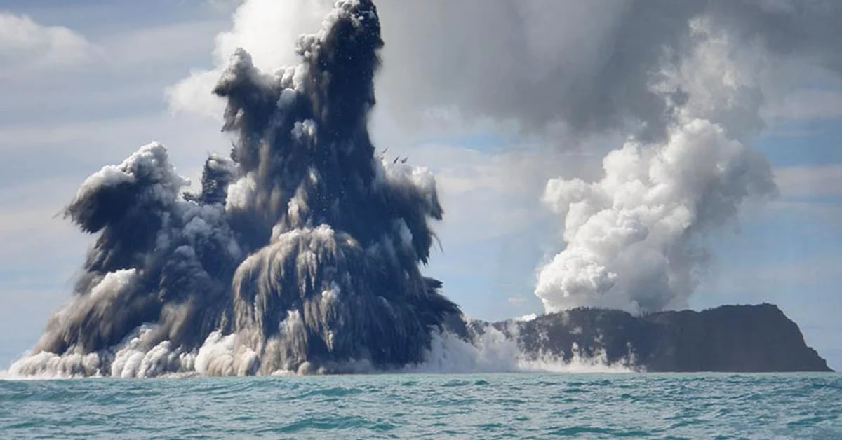 Tonga volcano: what is the vision of scientists about its eruption